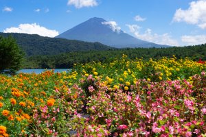 事務所移転のお知らせ